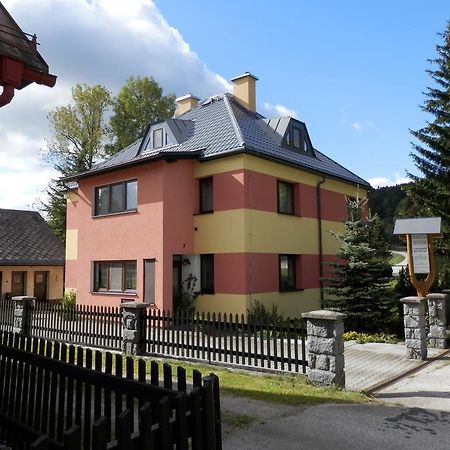 Ubytovani Verner Villa Destne v Orlickych horach Exteriör bild