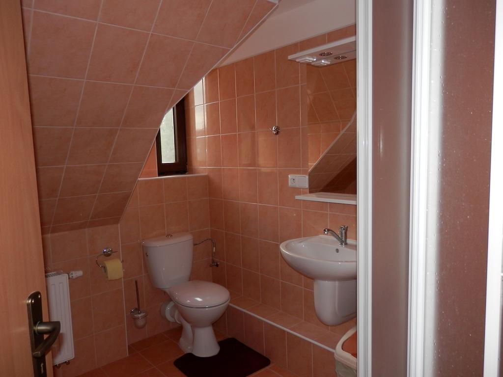 Ubytovani Verner Villa Destne v Orlickych horach Rum bild