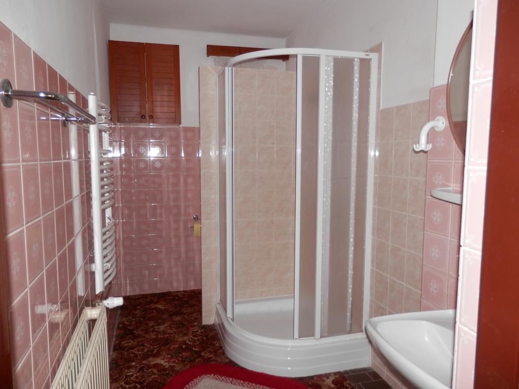 Ubytovani Verner Villa Destne v Orlickych horach Rum bild