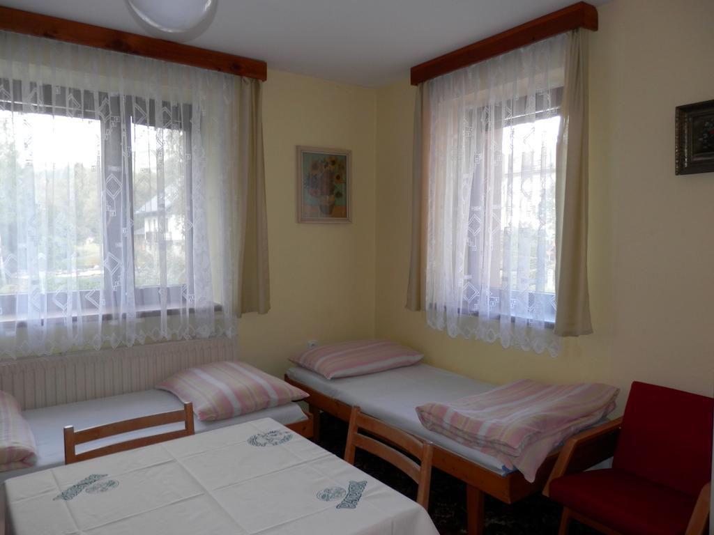Ubytovani Verner Villa Destne v Orlickych horach Rum bild