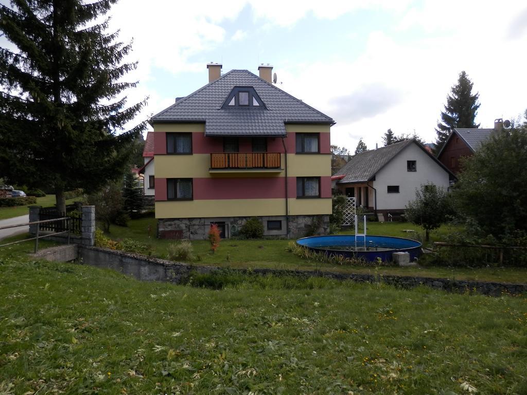 Ubytovani Verner Villa Destne v Orlickych horach Exteriör bild